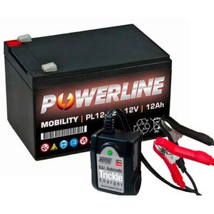 Toy Car Battery and Charger Combo 12V 12AH