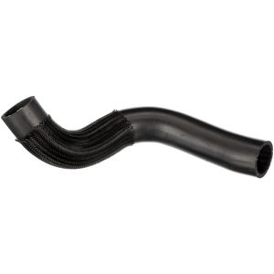 Gates Radiator Hose Lower 05-4784