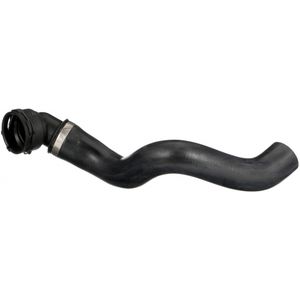Gates Radiator Hose Lower 05-4836
