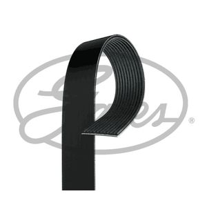Gates 11 Rib Multi V Drive Belt 11PK2871HD