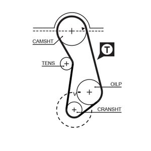 Gates Timing Belt 5016