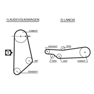 Gates Timing Belt 5031
