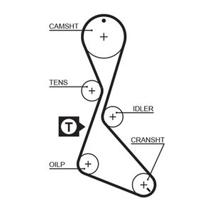 Gates Timing Belt 5056
