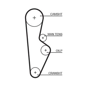 Gates Timing Belt 5082XS