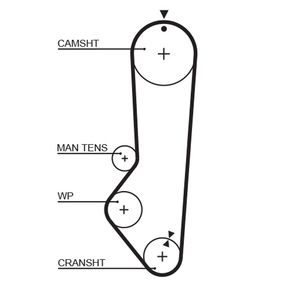 Gates Timing Belt 5224XS