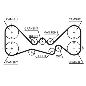 Gates Timing Belt 5384XS