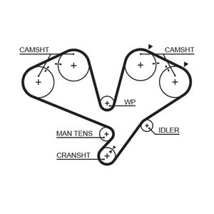 Gates Timing Belt 5442XS