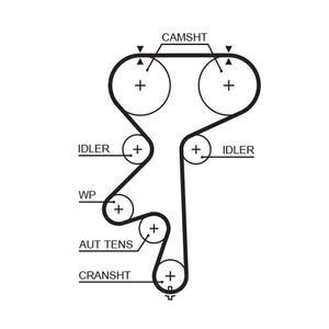 Gates Timing Belt 5542XS