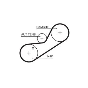 Gates Timing Belt 5546XS