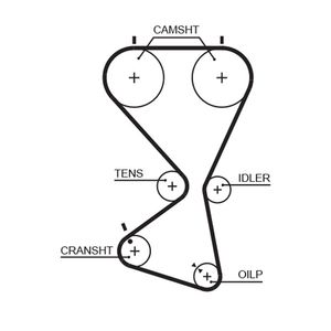 Gates Timing Belt 5556XS