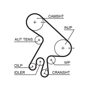 Gates Timing Belt 5562XS