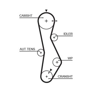 Gates Timing Belt 5579XS