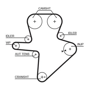 Gates Timing Belt 5586XS