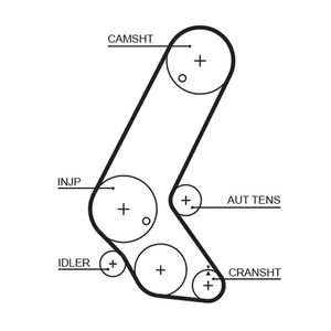 Gates Timing Belt 5595XS