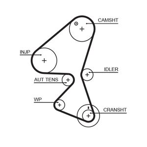Gates Timing Belt 5598XS