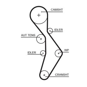 Gates Timing Belt 5604XS