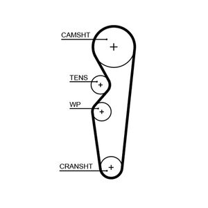 Gates Timing Belt 5665XS