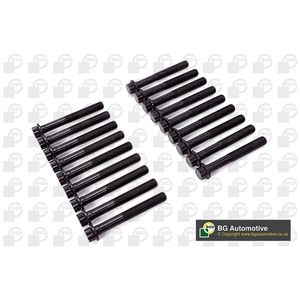 BGA Cylinder Head Bolts BK0170