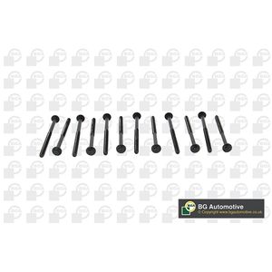 BGA Cylinder Head Bolts BK2304