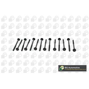 BGA Cylinder Head Bolts BK2305