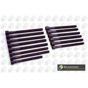 BGA Cylinder Head Bolts BK3343