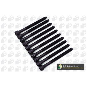 BGA Cylinder Head Bolts BK3346