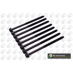 BGA Cylinder Head Bolts BK3365