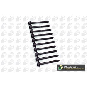 BGA Cylinder Head Bolts BK3370