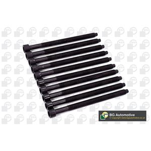 BGA Cylinder Head Bolts BK4365