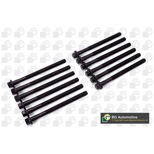 BGA Cylinder Head Bolts BK5341