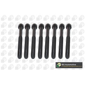BGA Cylinder Head Bolts BK5916