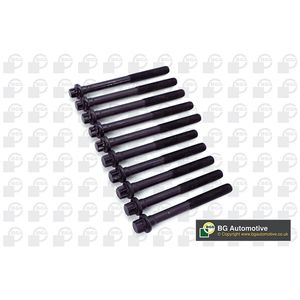 BGA Cylinder Head Bolts BK6318