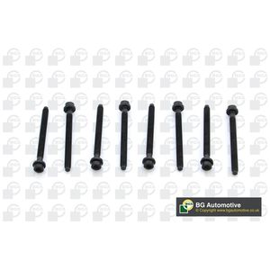 BGA Cylinder Head Bolts BK7900
