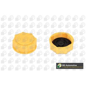 BGA Radiator Cap CC3045