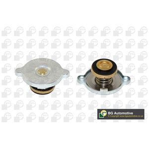 BGA Radiator Cap CC3049