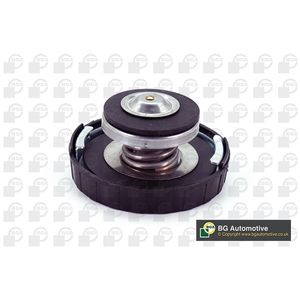 BGA Radiator Cap CC5902