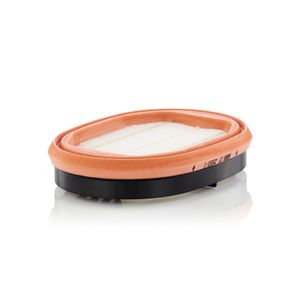 Mann Secondary Air Filter CF2550/1