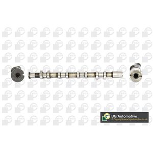 BGA Camshaft CS0110
