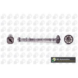 BGA Camshaft Exhaust Side CS0140
