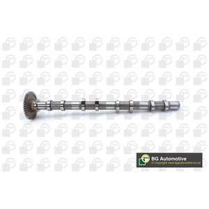 BGA Camshaft Exhaust Side CS0902