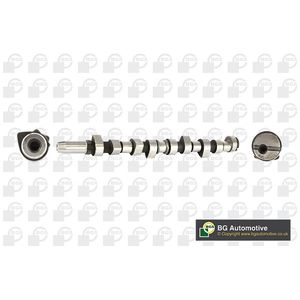 BGA Camshaft CS1324