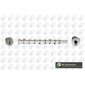 BGA Camshaft CS2300