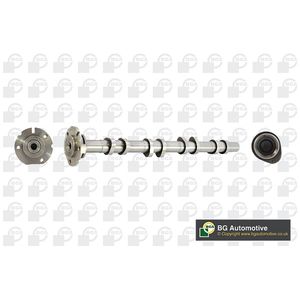 BGA Camshaft Exhaust Side CS2405