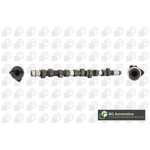 BGA Camshaft CS3381