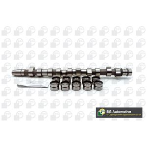 BGA Camshaft CS3381K