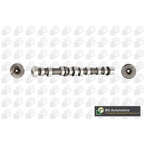 BGA Camshaft Exhaust Side CS3930
