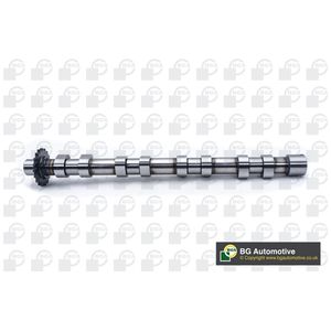 BGA Camshaft Inlet CS5523