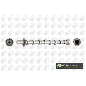 BGA Camshaft Exhaust Side CS5524