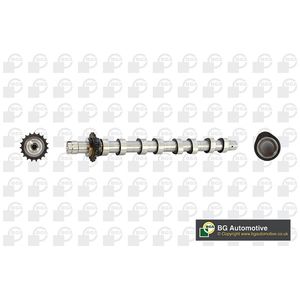BGA Camshaft CS5531