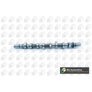 BGA Camshaft CS6300